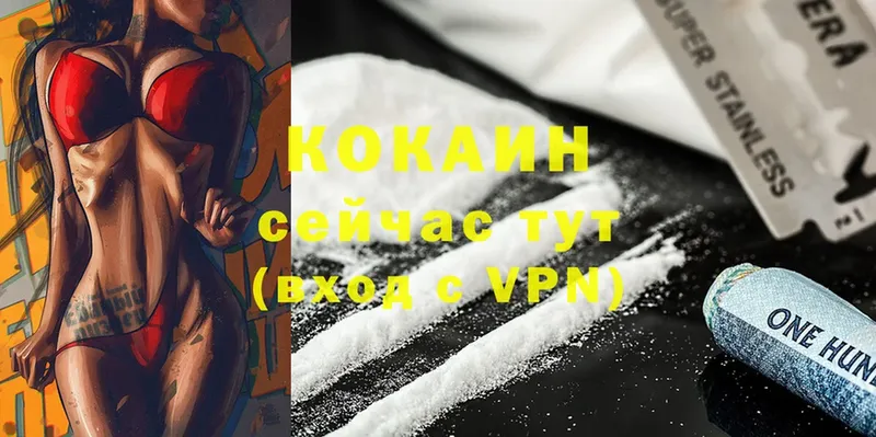 наркотики  Железноводск  COCAIN Эквадор 